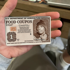 Funny Food Coupon Credit Card Skin